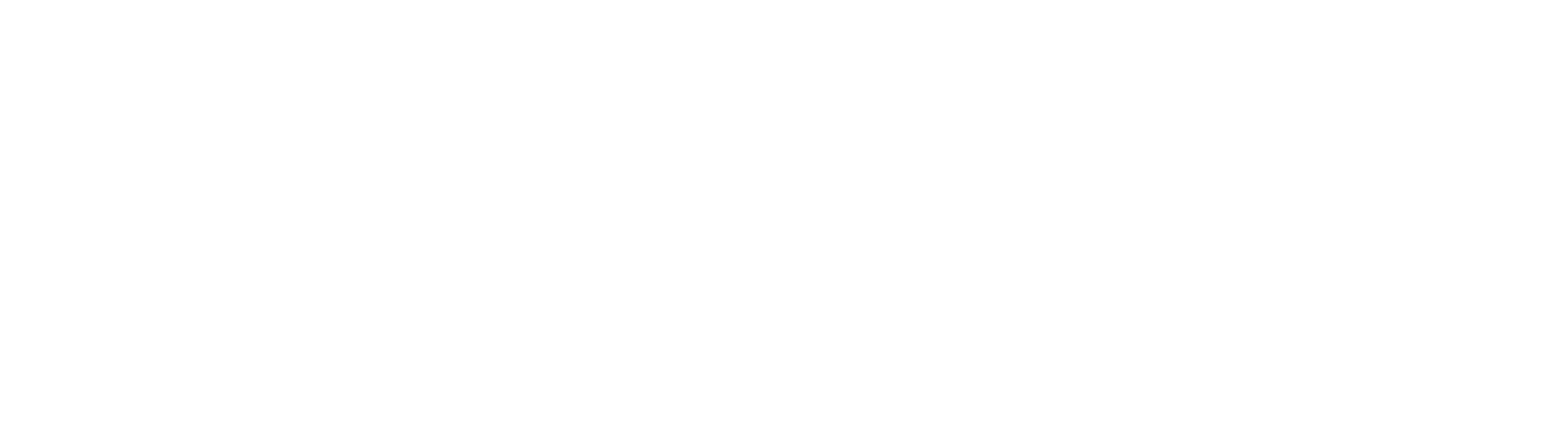 Intra in atmosfera Cupei Mondiale